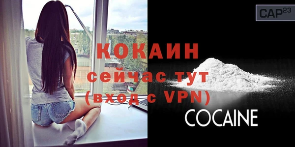 бошки Семилуки
