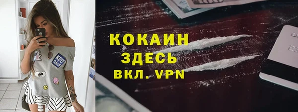 PSILOCYBIN Дмитров
