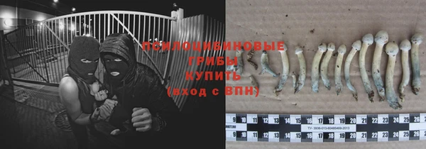 молекула духа Дмитровск