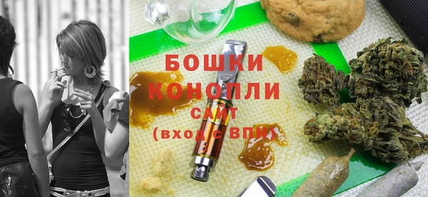 молекула духа Дмитровск