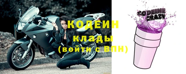 трава Гвардейск
