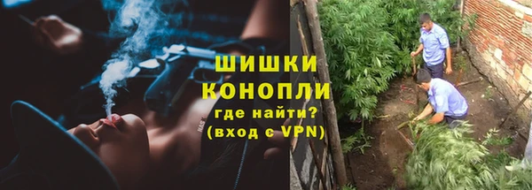 PSILOCYBIN Дмитров