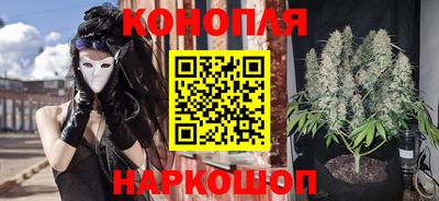 гашик Кулебаки