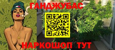 гашик Кулебаки